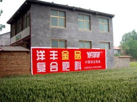 渝北如何让墙体广告展现最大化效果