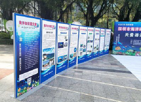 渝北KT板的种类和知识。